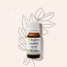 Huile essentielle de Laurier noble BIO Bioflore 10ml