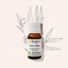 Huile essentielle d'arbre à thé (tea tree) Afrique 10 ml