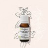 Huile essentielle de menthe poivrée BIO Bioflore 10ml