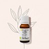 Huile essentielle de Litsée ou Verveine exotique BIO Bioflore 10ml