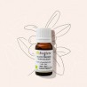 Huile essentielle de gaulthérie BIO Bioflore 10ml