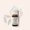 Huile essentielle de Gingembre de Madagascar BIO Bioflore 10ml