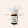 Huile essentielle de Citronnelle de Java Bio Bioflore 10ml