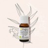 Huile essentielle d'eucalyptus citronné BIO Bioflore 10ml