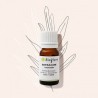 Huile essentielle d'Estragon BIO Bioflore