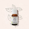 Huile essentielle de Basilic exotique Bio Bioflore 10 ml