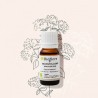 Huile essentielle de Marjolaine des jardins ou Marjolaine à coquilles BIO Bioflore 10ml