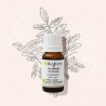 Huile essentielle d'Oliban ou Encens BIO Bioflore 10ml