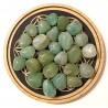 Aventurine pierre roulée qualité AA
