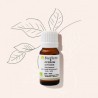 Essence de citron BIO sans furocoumarine 10ml Bioflore