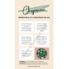 Les vertus de la chrysoprase