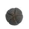 Tawashi épais gris