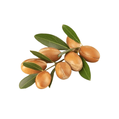 Huile végétale d'argan Bio