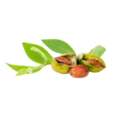 Huile de jojoba Bio