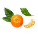 Mandarine rouge Huile essentielle / Essence BIO 10 ml Bioflore