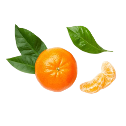 Huile essentielle de mandarine Bio