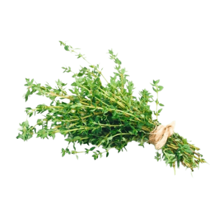 Huile essentielle de Thym doux d'Espagne Bio