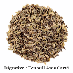 Tisane digestive BIO Fenouil - Anis - Carvi