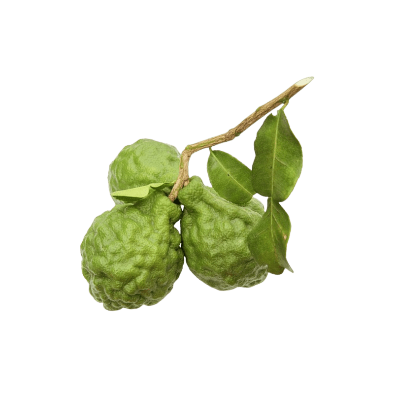 Bergamote