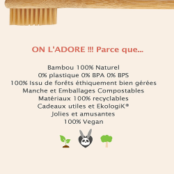 Brosse à dents en bambou écologique