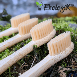 Brosse à dents en bambou poils en nylon dureté moyenne