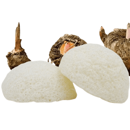Eponge konjac naturelle visage