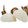 Eponge konjac naturelle visage