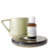 Grog aromatique Bioflore aux huiles essentielles BIO 15ml