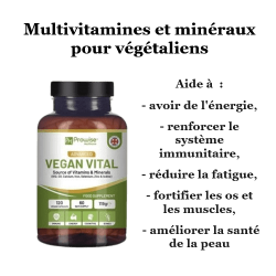 Vegan Vital Vitamines et minéraux pour végétaliens 120 gélules