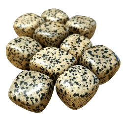 Pierres roulées de Jaspe Dalmatien