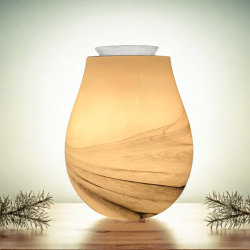 Diffuseur d'huiles essentielles Calorya 11 effet fumée encre de Chine