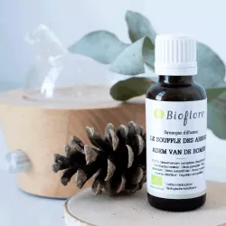 Synergie d'huiles essentielles bio Le souffle des arbres Bioflore - Confort respiratoire