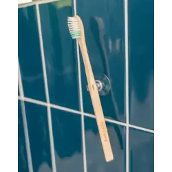 Porte brosse à dents à clip ventouse Apimani