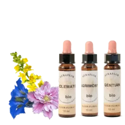 Fleurs de Bach BIO - Laboratoire Dioter Auraflor 10 ml