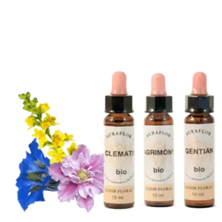 Fleurs de Bach BIO - Laboratoire Dioter Auraflor 10 ml