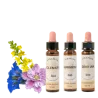 Fleurs de Bach BIO - Laboratoire Dioter Auraflor 10 ml