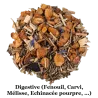 Infusion BIO Sans soucis pour la digestion