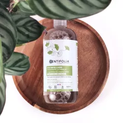 Eau micellaire pour toute la famille BIO Centifolia au Ginkgo Biloba