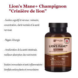 Lion's mane crinière de lion fonctions cognitives, stress, mémoire, concentration, digestion