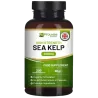 Complément d'iode Algue marine Varech Sea Kelp Prowise