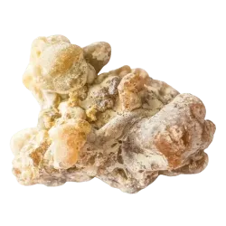 Copahu Copahier Huile essentielle Bioflore
