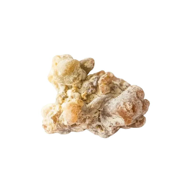 Copahu Copahier Huile essentielle Bioflore