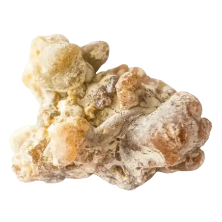 Copahu Copahier Huile essentielle Bioflore