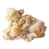 Copahu Copahier Huile essentielle Bioflore
