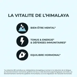 Shilajit de l'Himalaya - Tonus, immunité, énergie, bien-être mental