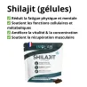 Shilajit Vitalform Inolab 60 gélules