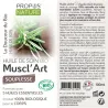 Synergie d'huiles essentielles anti-inflammatoires et apaisantes
