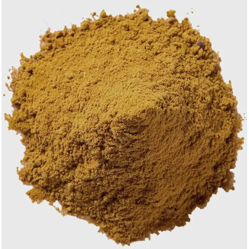 Mélange d'épices Garam Masala Bio