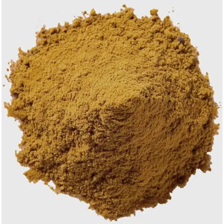 Mélange d'épices Garam Masala Bio