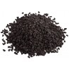 Nigelle cumin noir